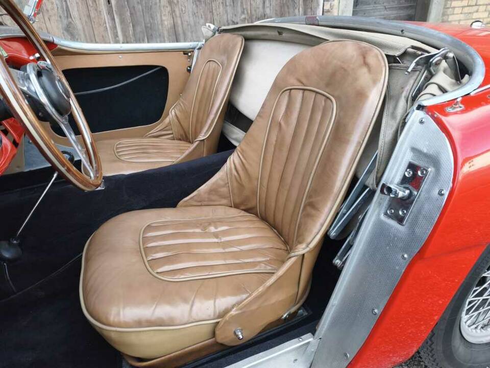 Imagen 8/24 de Austin-Healey 100/4 (BN1) (1955)