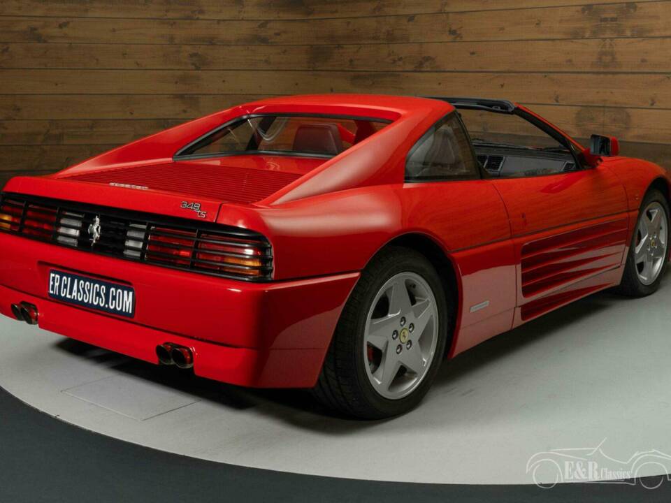 Image 6/19 de Ferrari 348 TS (1991)