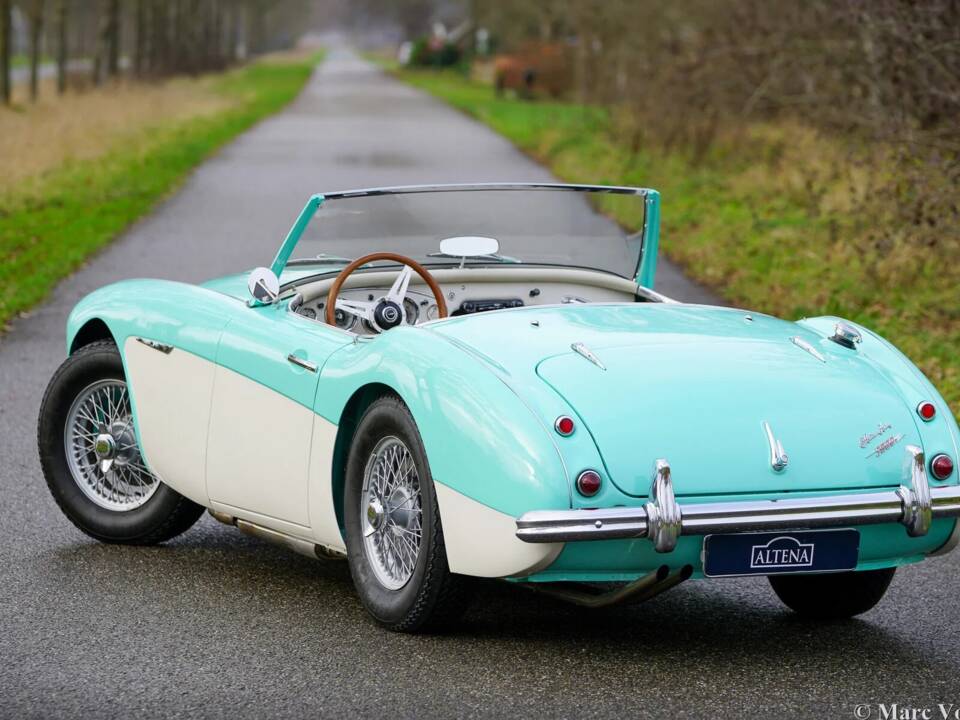 Immagine 41/48 di Austin-Healey 3000 Mk I (BN7) (1960)