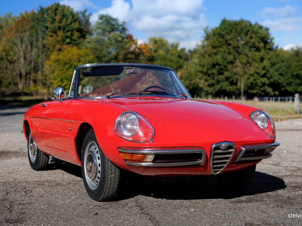 Afbeelding 4/50 van Alfa Romeo 1600 Spider Duetto (1967)