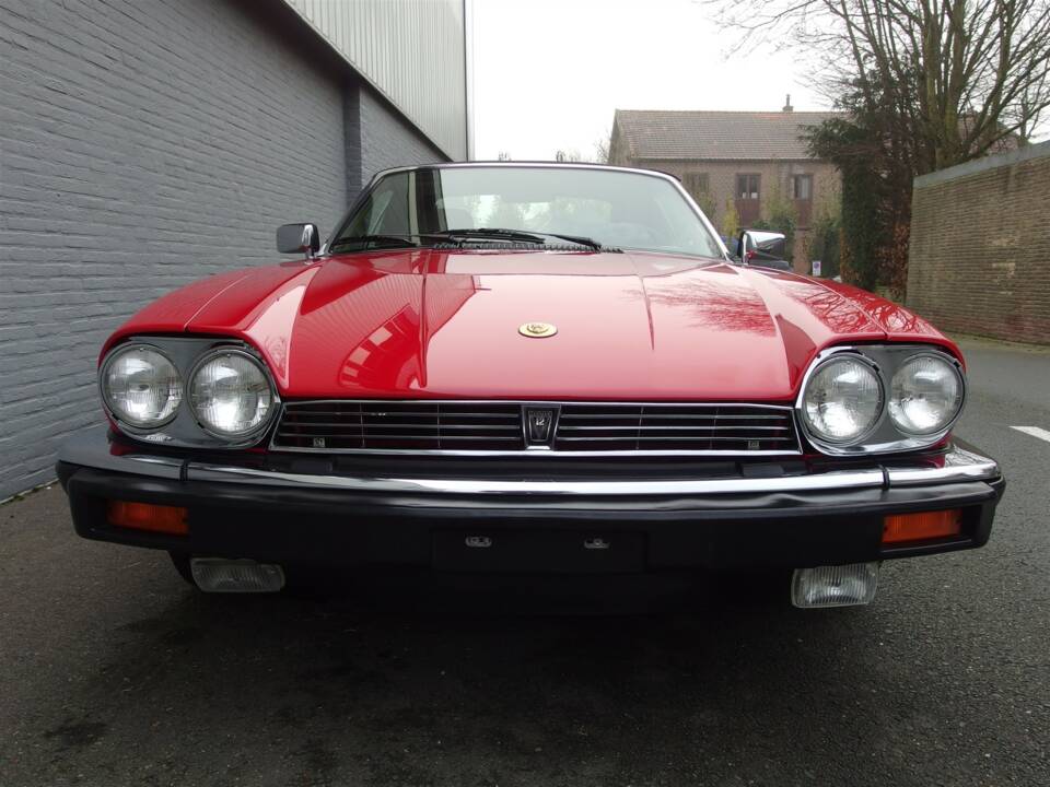 Image 7/99 de Jaguar XJS 5.3 V12 (1990)