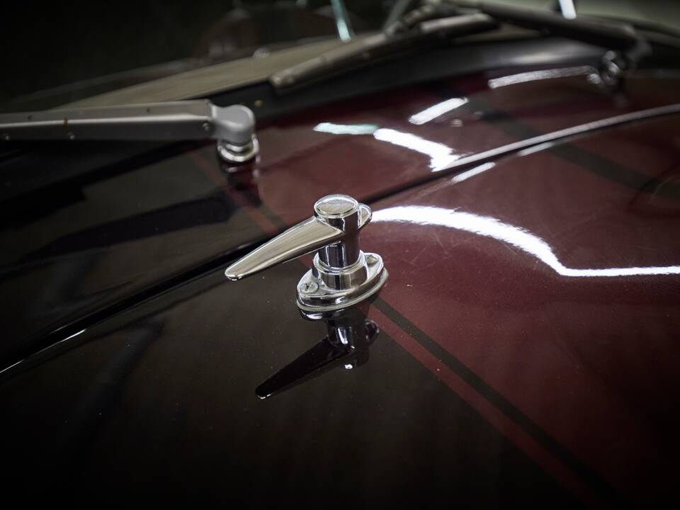 Image 51/73 of AC Cobra Replica (2005)