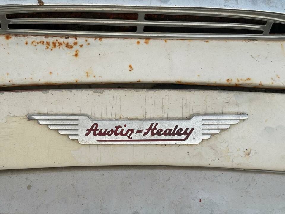Bild 19/22 von Austin-Healey 3000 Mk II (BN7) (1960)