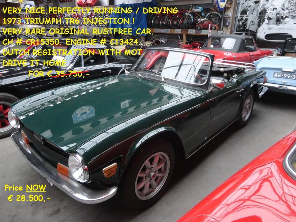 Immagine 27/33 di Triumph TR 6 PI (1973)