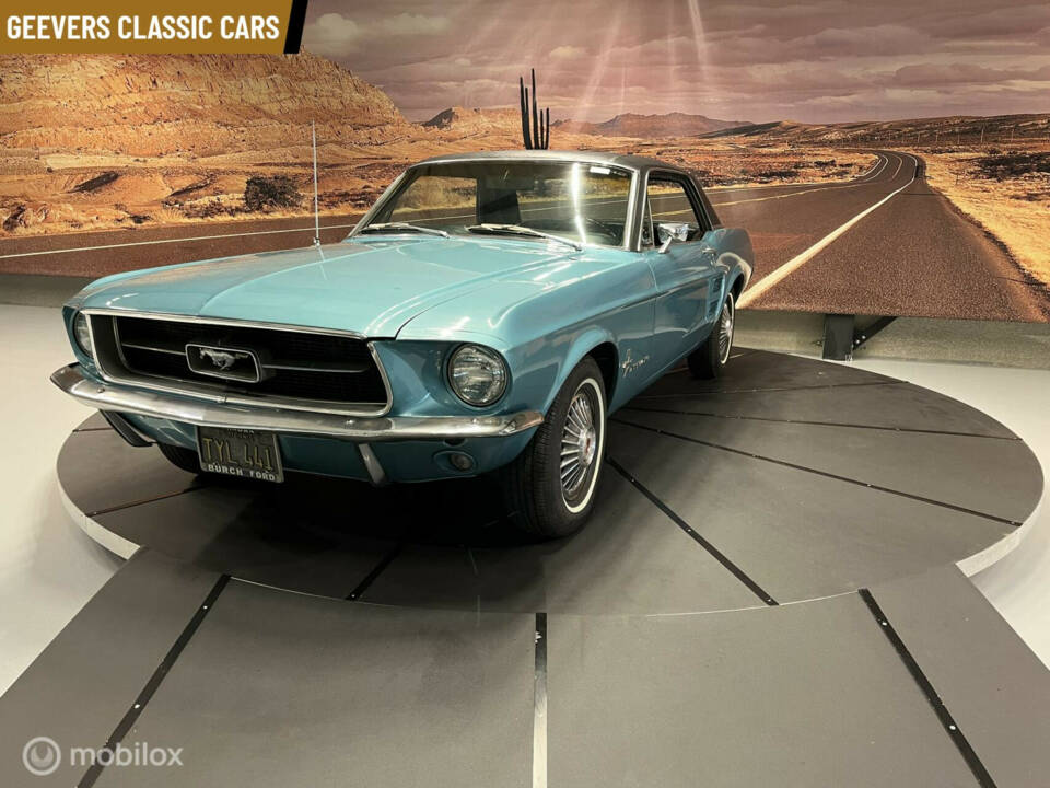 Bild 11/50 von Ford Mustang 289 (1967)