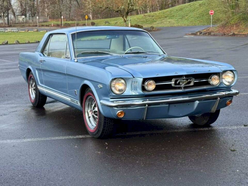 Immagine 22/50 di Ford Mustang 289 (1966)