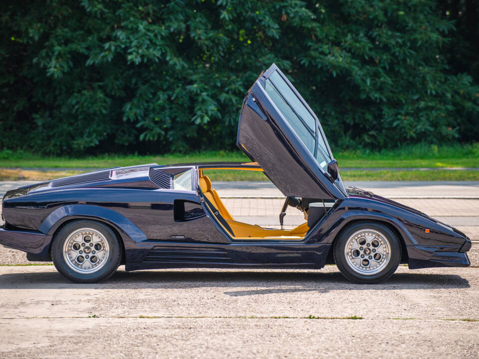 Image 17/39 of Lamborghini Countach 25th Anniversary (1990)