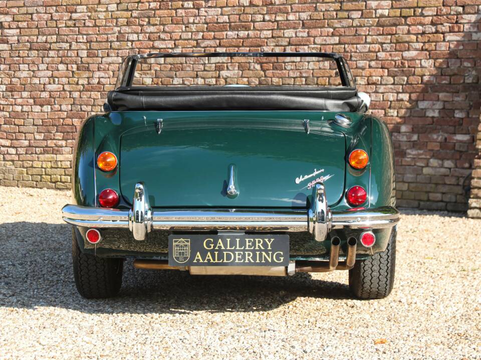 Afbeelding 6/50 van Austin-Healey 3000 Mk III (BJ8) (1967)