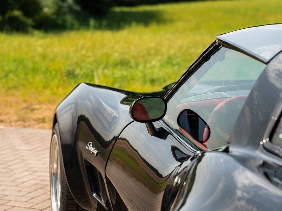 Immagine 10/42 di Chevrolet Corvette Sting Ray (1980)