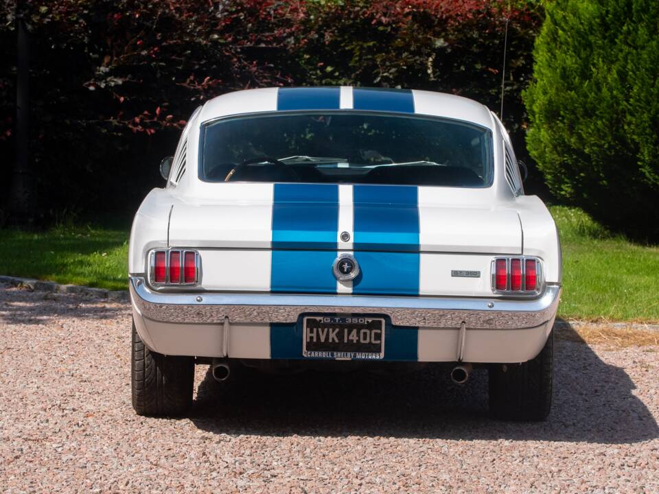 Image 10/54 of Ford Shelby GT 350 (1965)
