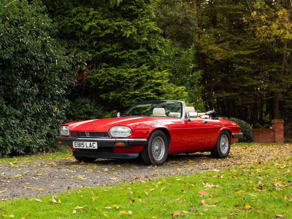 Image 28/50 de Jaguar XJS 5.3 V12 (1988)