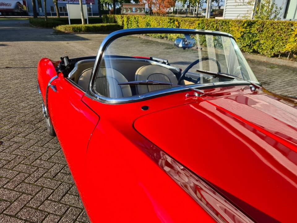 Bild 46/52 von FIAT 1200 Cabriolet (1959)