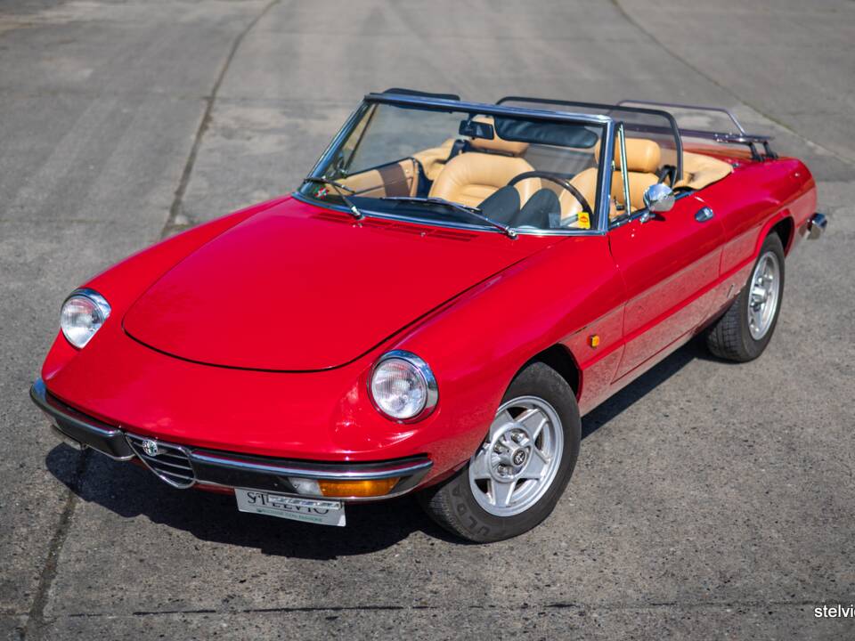 Afbeelding 4/42 van Alfa Romeo 2000 Spider Veloce (1980)