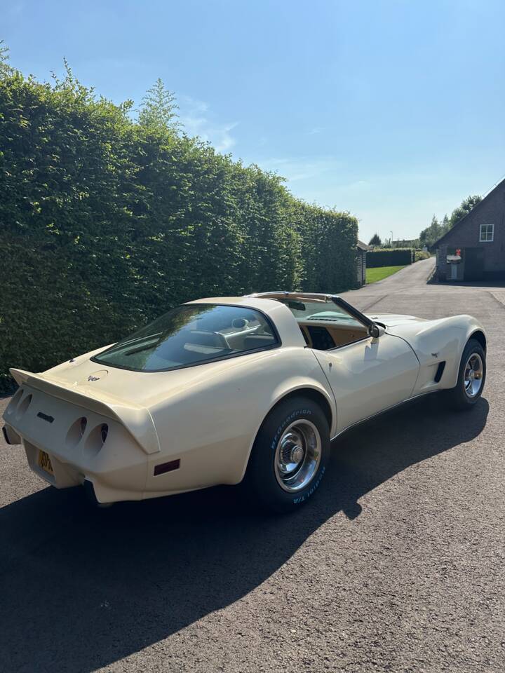 Image 20/21 de Chevrolet Corvette Stingray (1977)