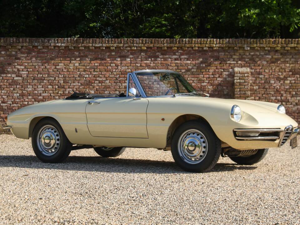 Image 40/50 of Alfa Romeo 1600 Duetto (1967)