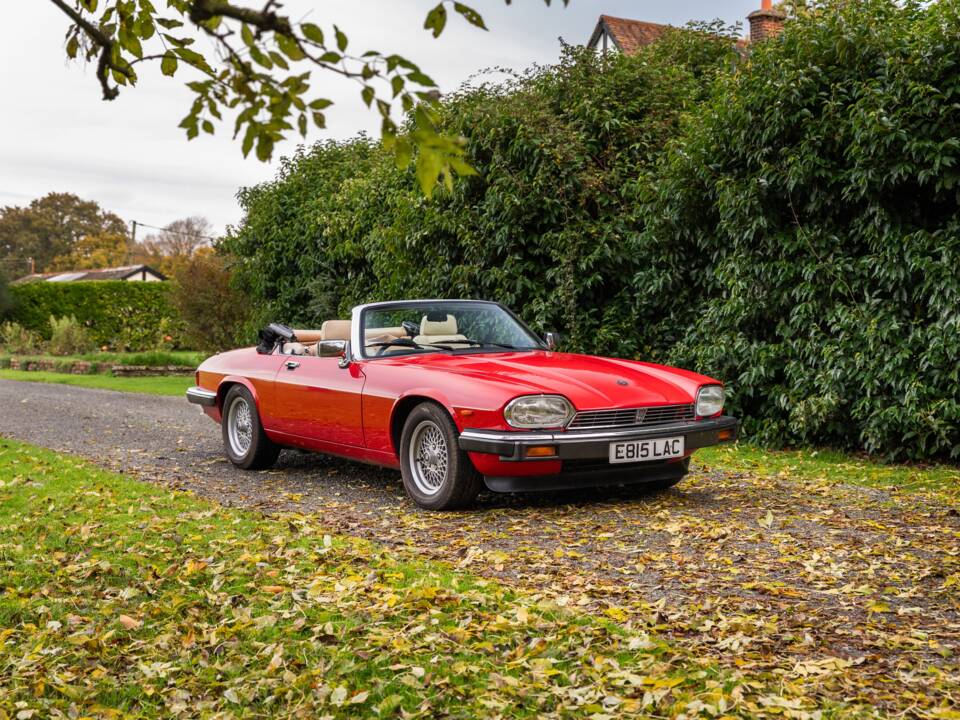 Image 44/50 of Jaguar XJS 5.3 V12 (1988)