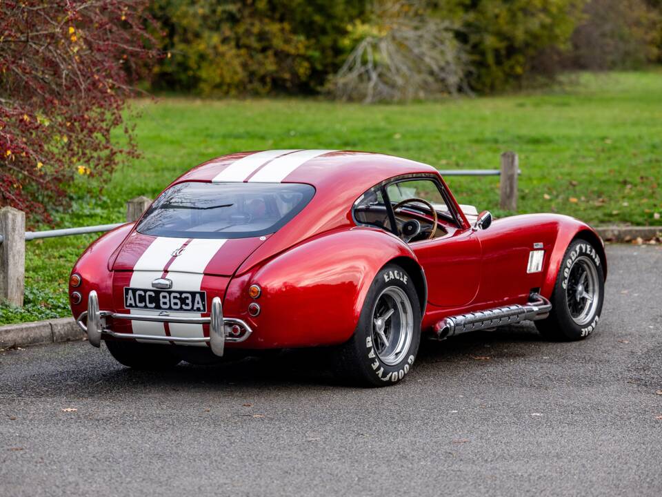 Afbeelding 17/50 van AC Cobra 289 (2000)