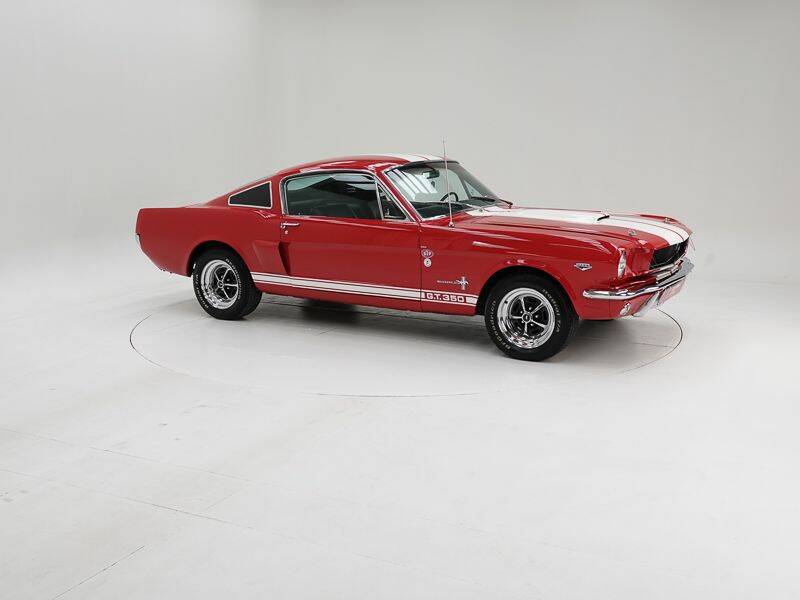 Image 3/15 of Ford Shelby GT 350 (1965)