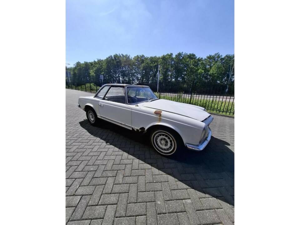 Image 6/50 de Mercedes-Benz 250 SL (1967)