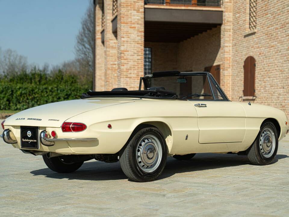 Image 6/50 of Alfa Romeo 1750 Spider Veloce (1969)