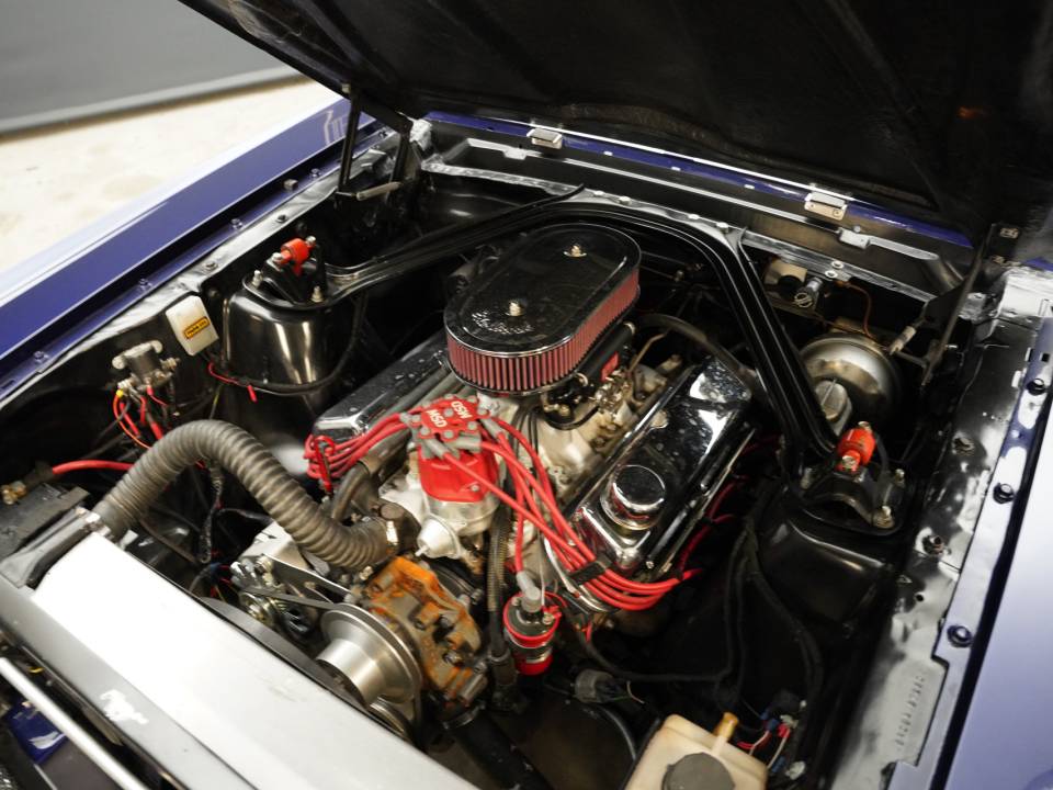 Image 12/50 of Ford Shelby GT 350 (1965)