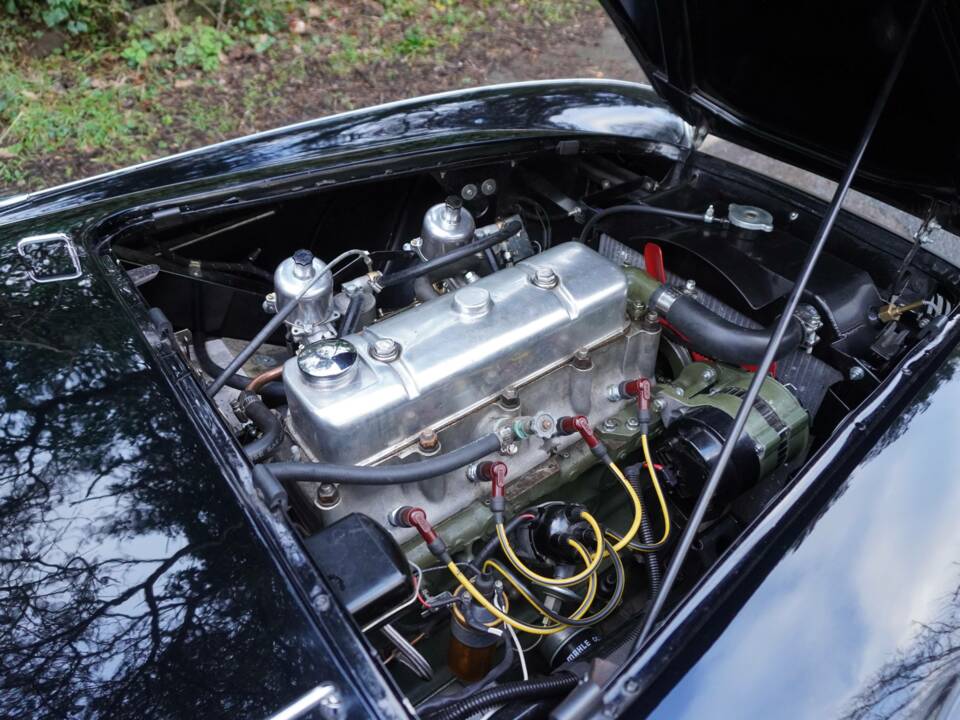 Image 14/18 de Austin-Healey 100/6 (BN4) (1956)