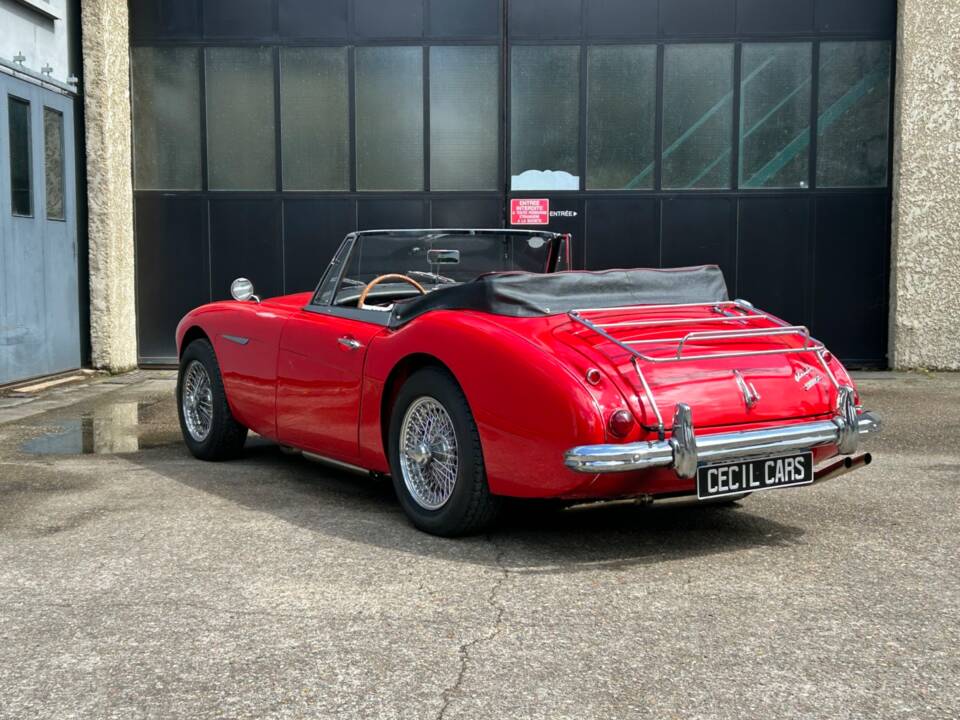 Immagine 3/29 di Austin-Healey 3000 Mk III (BJ8) (1966)