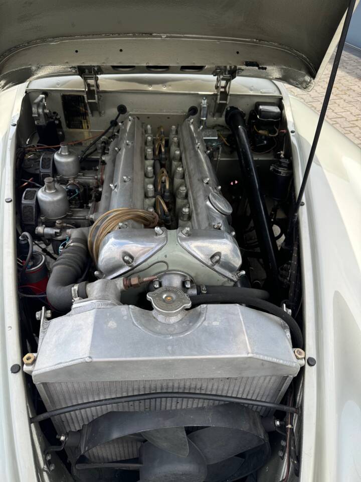 Image 14/17 of Jaguar XK 120 SE OTS (1953)