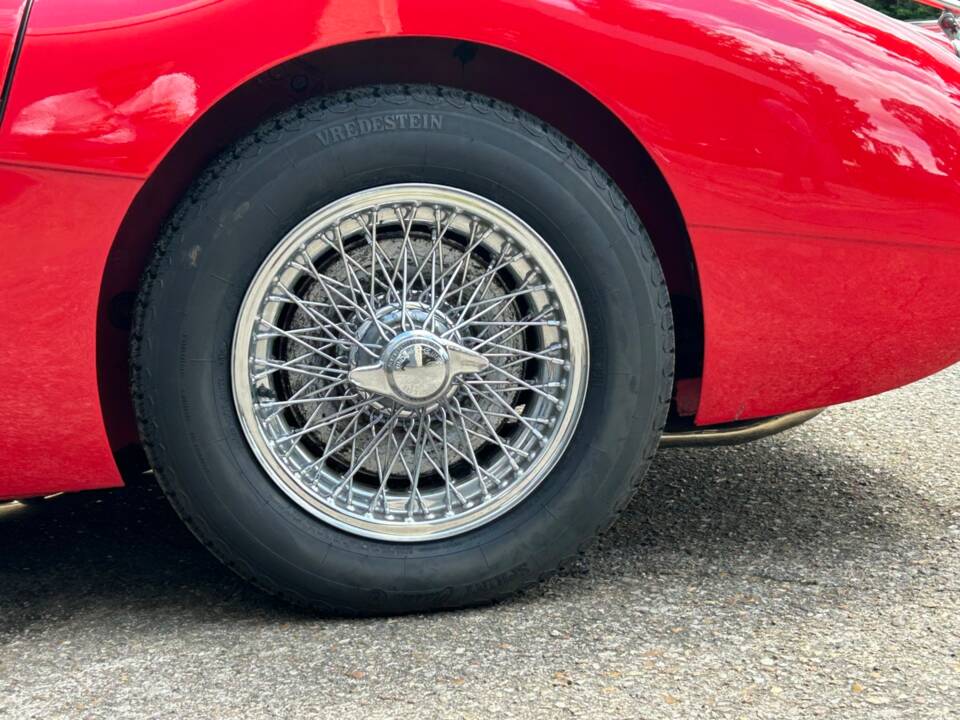 Immagine 5/29 di Austin-Healey 3000 Mk III (BJ8) (1966)