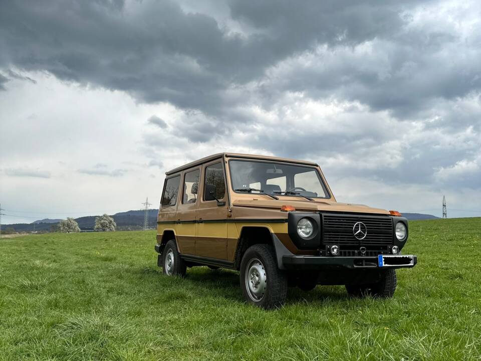 Bild 4/18 von Steyr-Puch 300 GD (lang) (1982)
