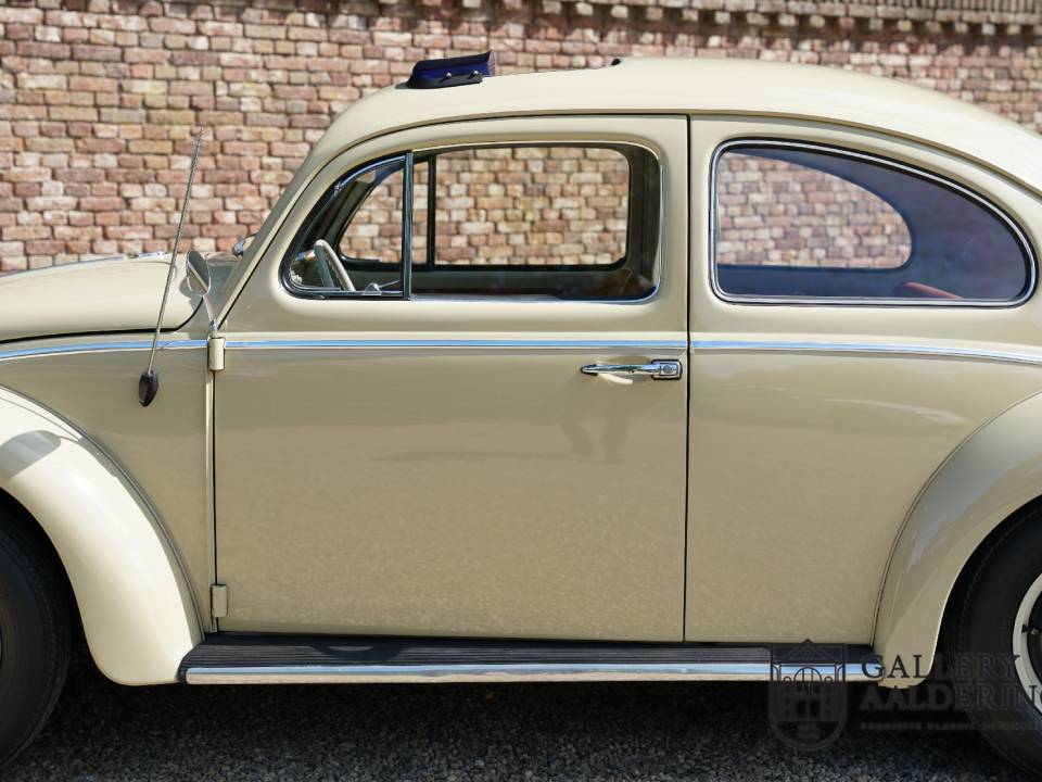 Image 13/50 of Volkswagen Käfer 1200 A (1964)