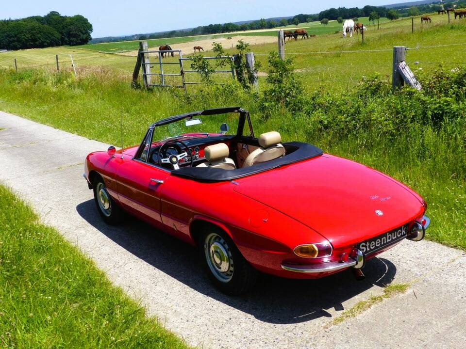Alfa Romeo 1600 Spider Duetto 1966