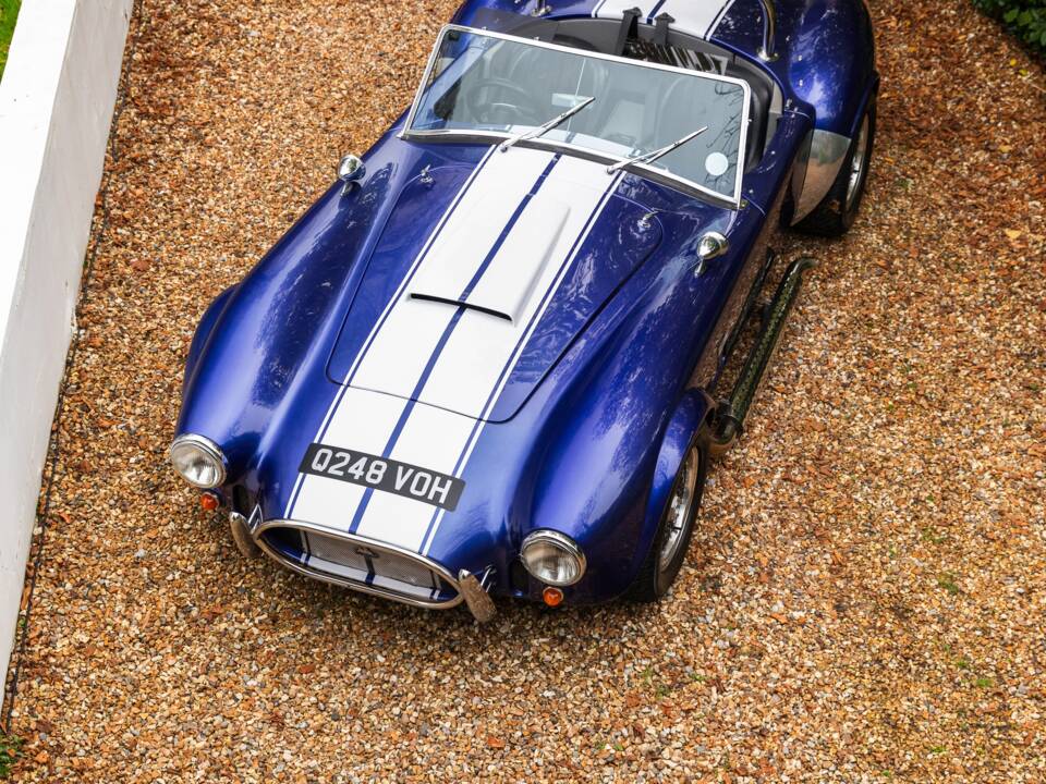 Bild 19/50 von AC Cobra 289 (1997)
