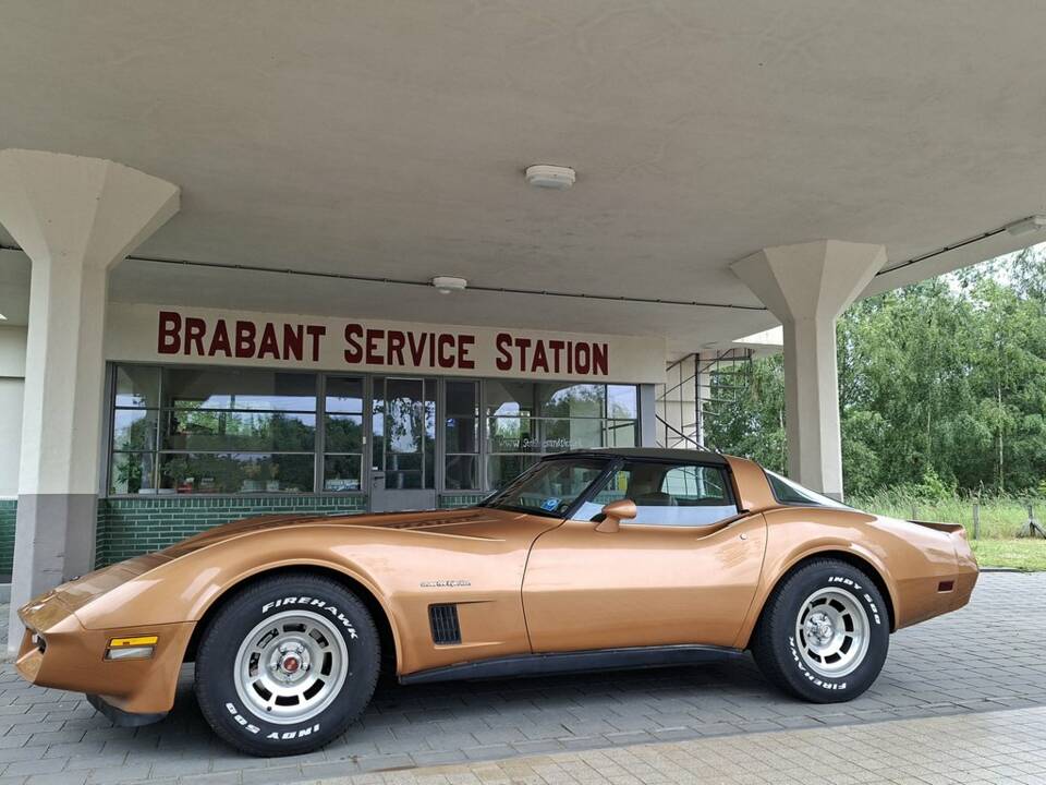 Bild 4/8 von Chevrolet Corvette Cross-Fire Injection (1982)