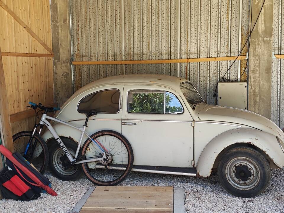 Image 3/24 of Volkswagen Beetle 1200 Standard "Dickholmer" (1959)