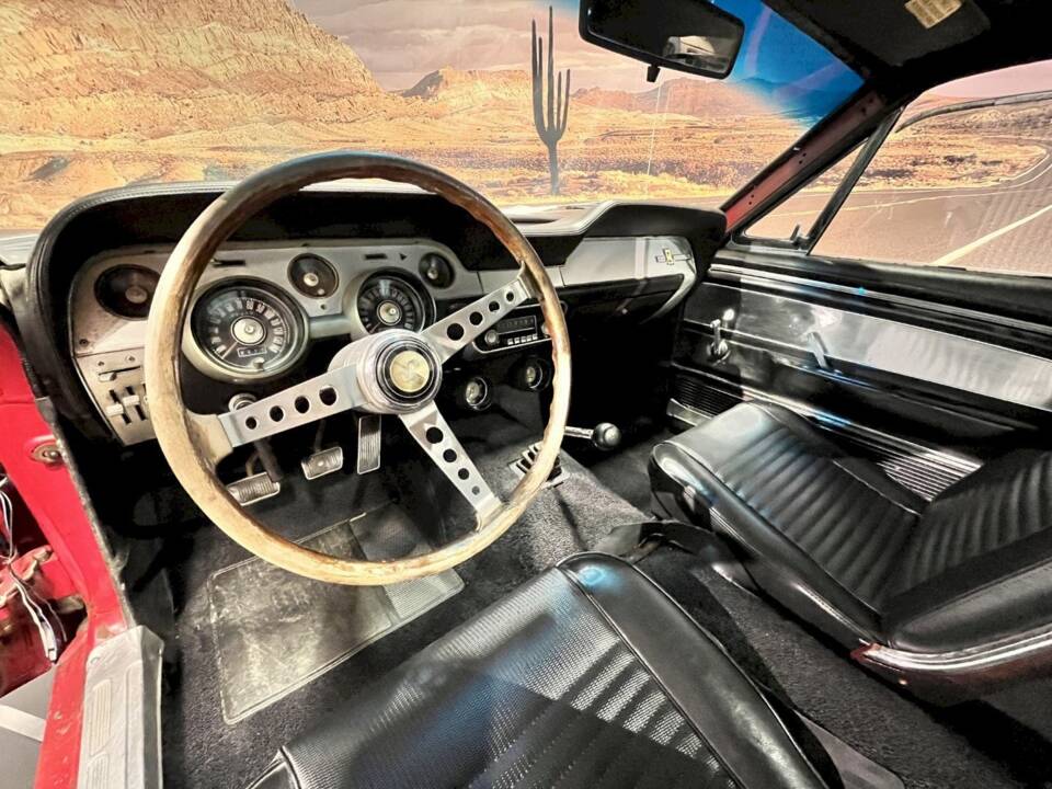 Image 20/35 of Ford Shelby GT 350 (1967)