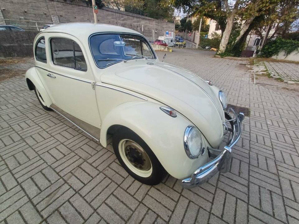 Bild 4/36 von Volkswagen Käfer 1200 Export "Dickholmer" (1963)