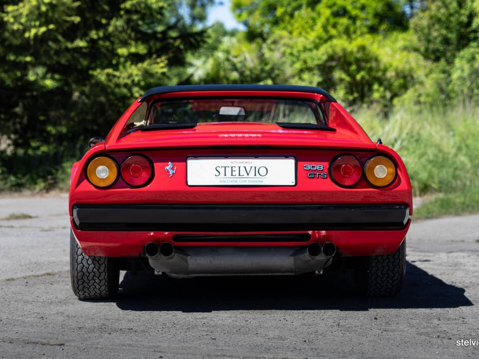 Bild 12/37 von Ferrari 308 GTS (1978)