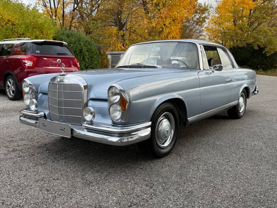 Bild 1/43 von Mercedes-Benz 250 SE (1966)
