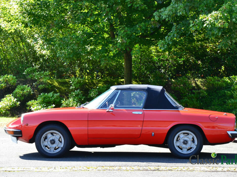 Image 6/50 of Alfa Romeo 2000 Spider Veloce (1981)