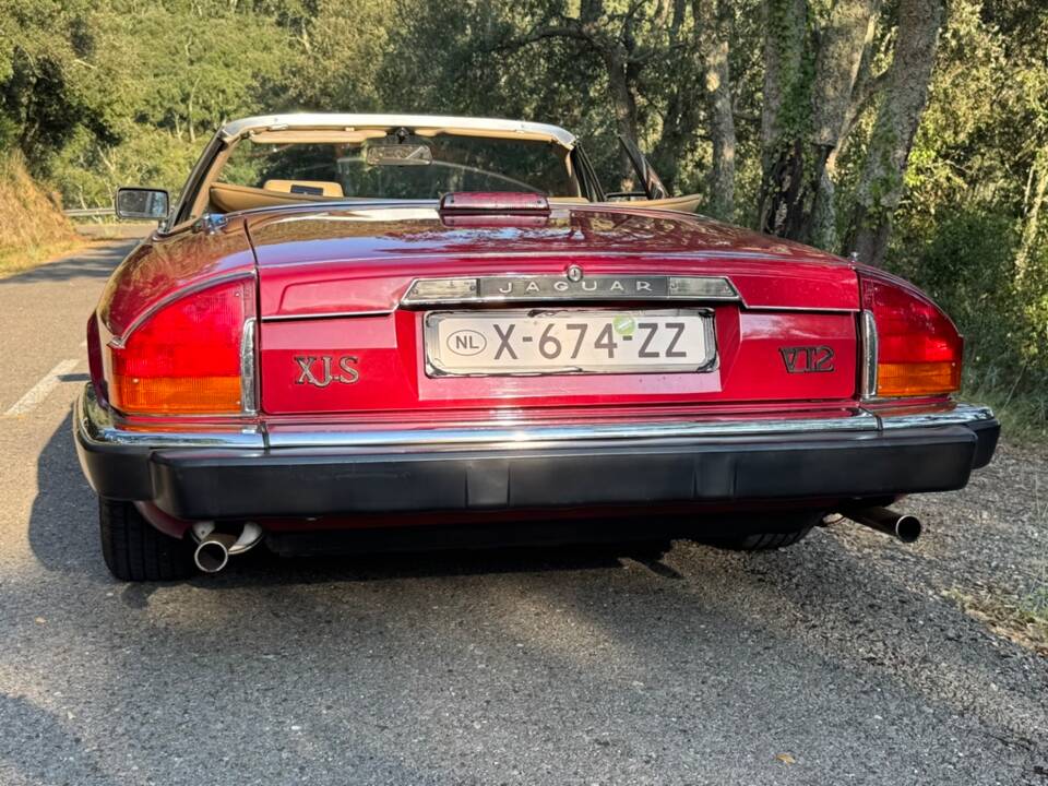 Bild 6/62 von Jaguar XJ-S Convertible (1988)