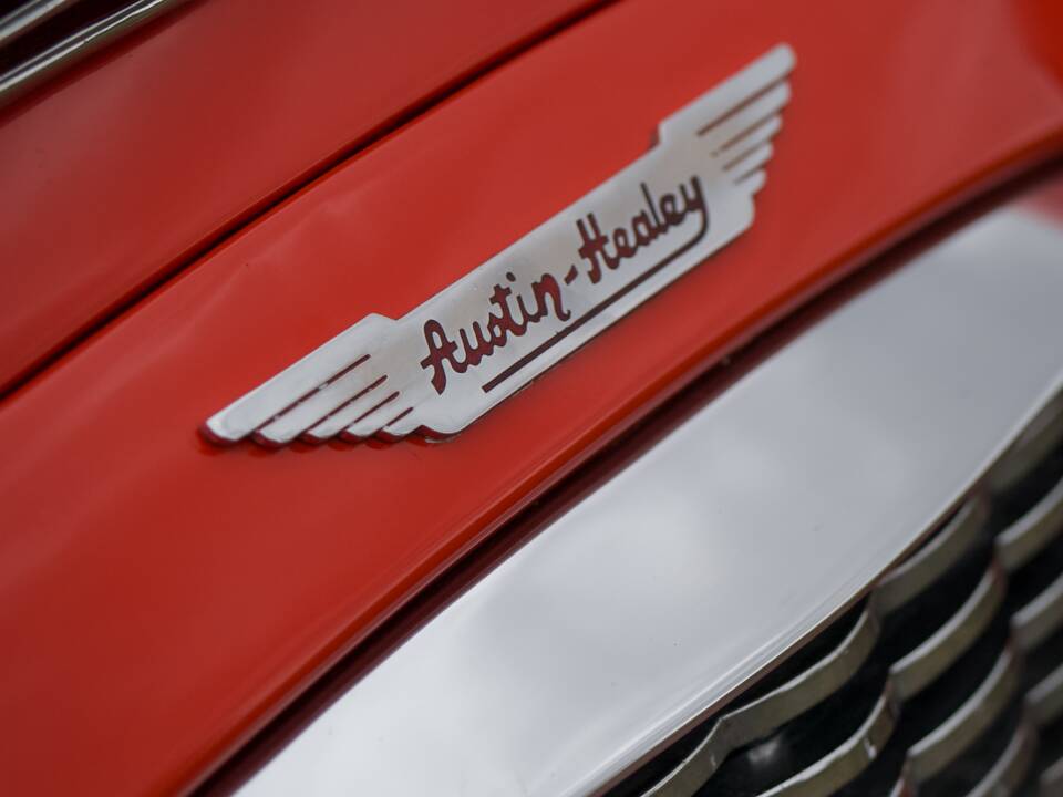 Bild 22/30 von Austin-Healey 3000 Mk I (BN7) (1959)