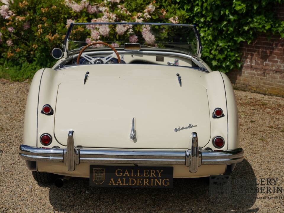 Image 24/50 of Austin-Healey 100/4 (BN1) (1954)