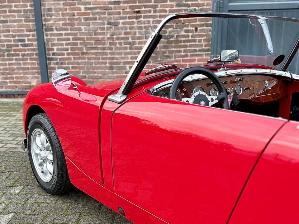 Image 3/40 of Austin-Healey Sprite Mk I (1958)