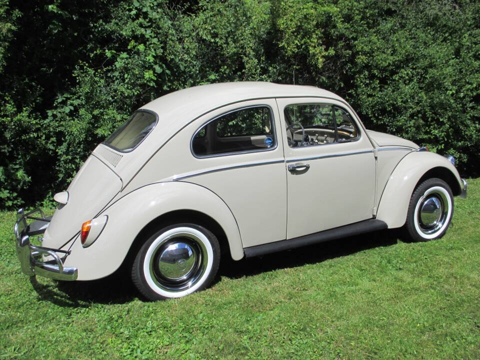 Image 23/39 of Volkswagen Maggiolino 1200 Export "Dickholmer" (1964)