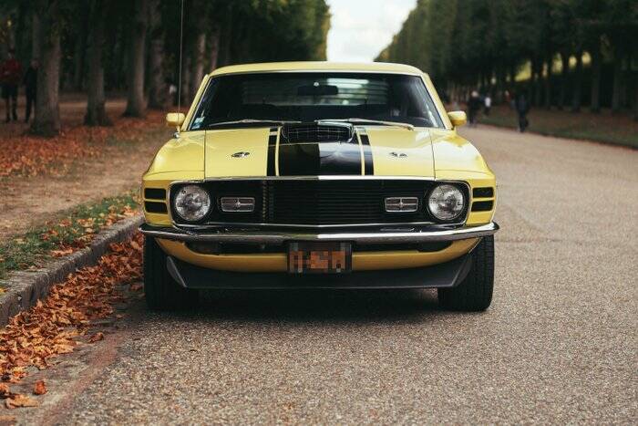 Image 3/7 of Ford Mustang Mach 1 (1970)