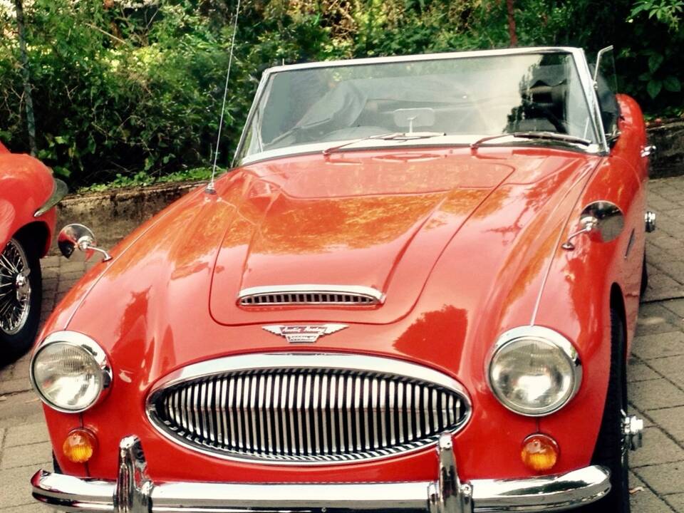 Bild 4/10 von Austin-Healey 3000 Mk III (BJ8) (1965)