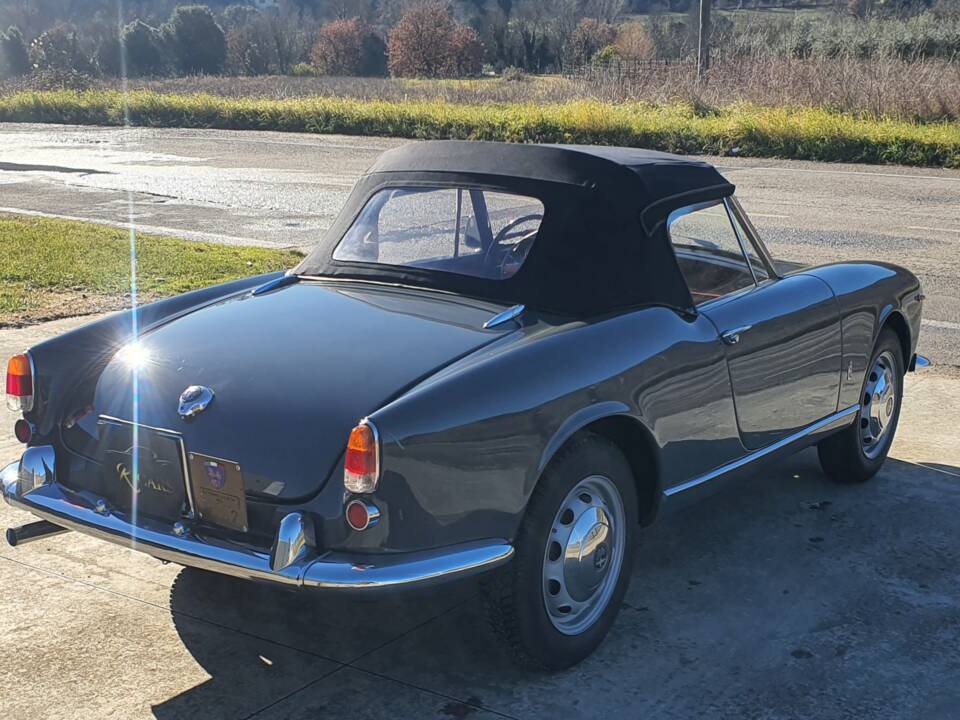 Image 6/50 of Alfa Romeo Giulietta Spider (1959)