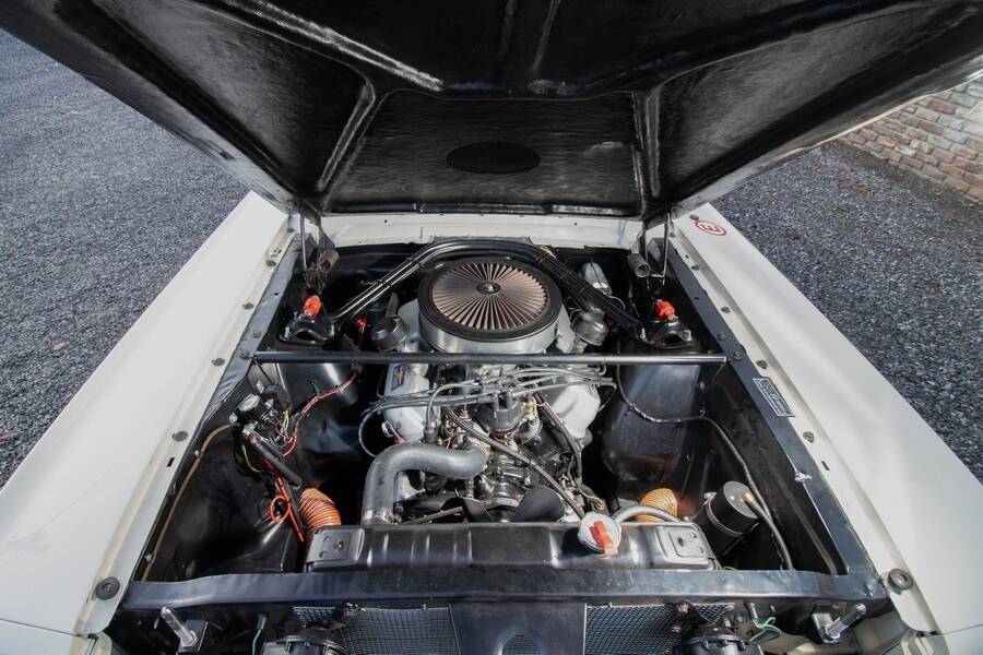 Afbeelding 28/48 van Ford Shelby GT 350 (1965)