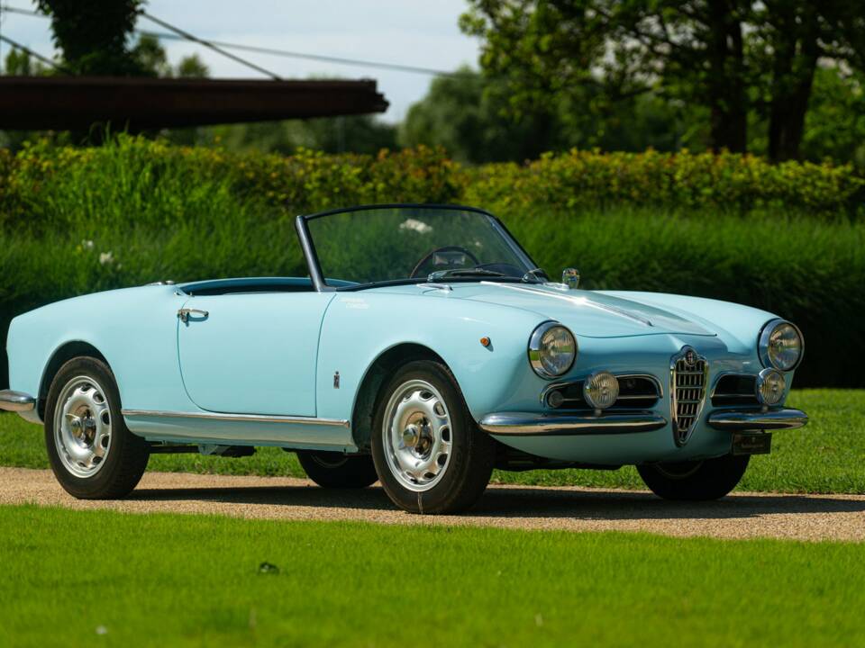 Image 2/50 de Alfa Romeo Giulietta Spider (1957)